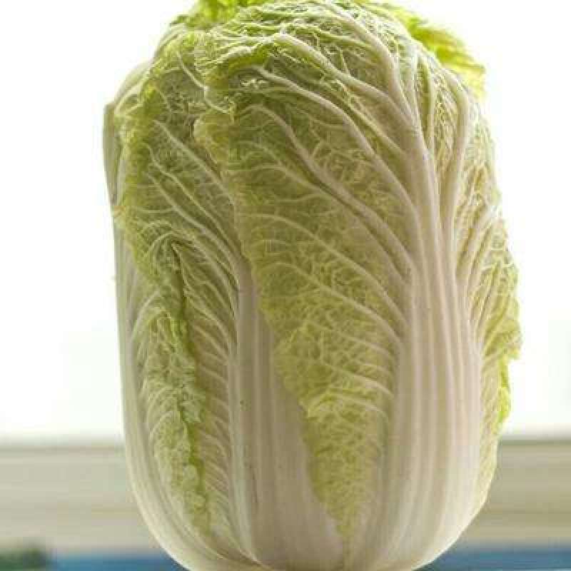 黄心大白菜产地大量销售中，无虫害，无烧心，无起台，包的紧
