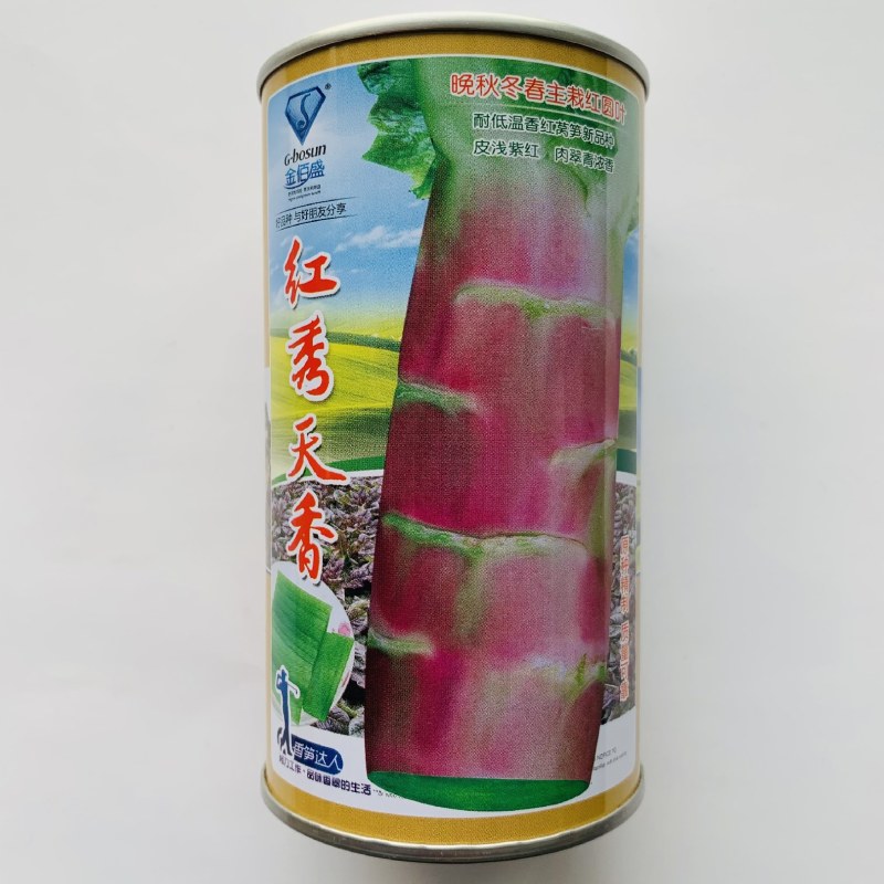 红叶青肉莴笋种子耐寒抗病丰产适应性广大田用种