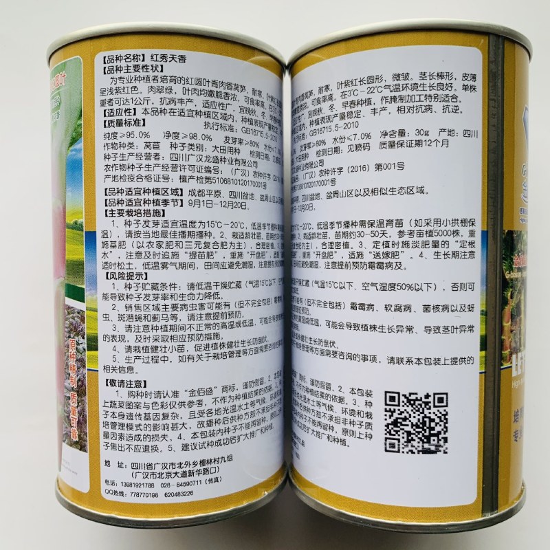 红叶青肉莴笋种子耐寒抗病丰产适应性广大田用种