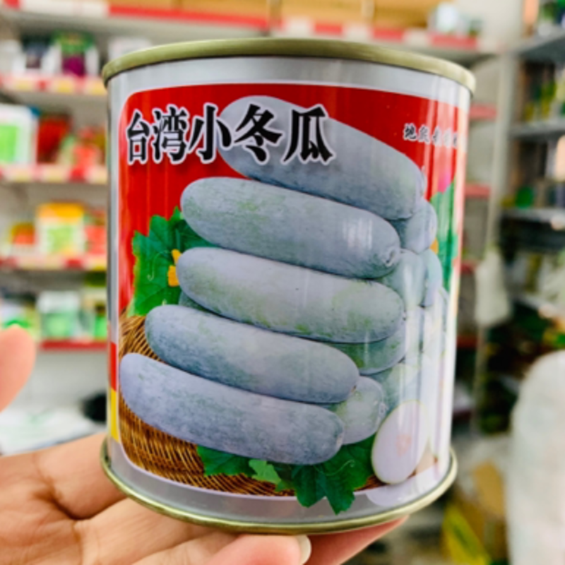 地爬优选台湾小冬瓜种子瓜腔极小抗病性强粉皮小冬瓜种籽