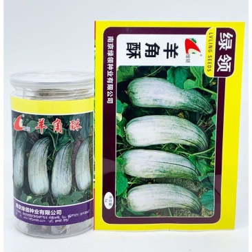 绿领羊角酥甜瓜种子早熟脆甜糖度高羊角蜜香瓜种子原装发货
