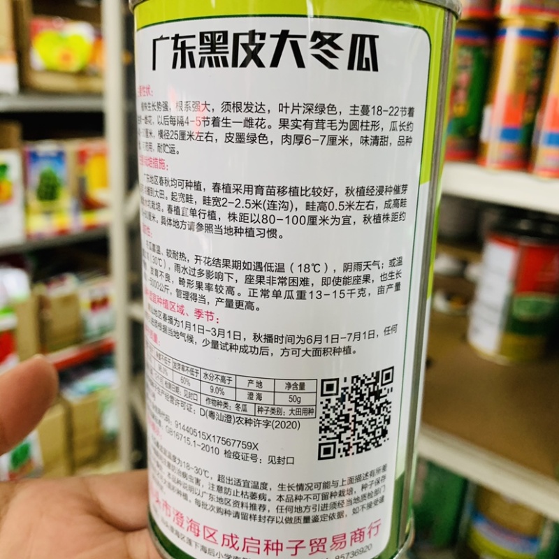 广东黑皮大冬瓜种子喜温墨绿皮味清甜可药用黑皮冬瓜种子