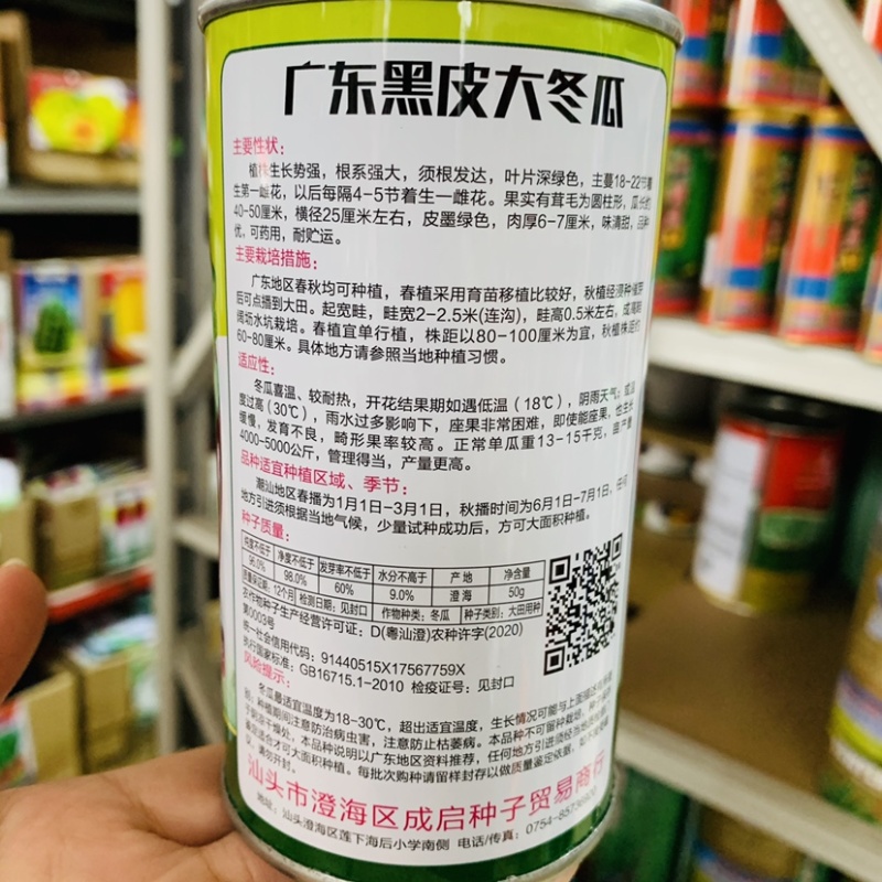 广东黑皮大冬瓜种子喜温墨绿皮味清甜可药用黑皮冬瓜种子