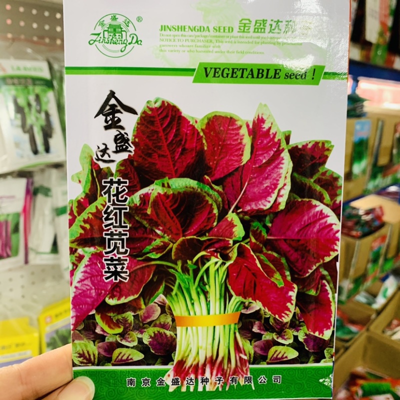 金盛达花红苋菜种子大田用种菜种子批发春秋蔬菜种子圆叶