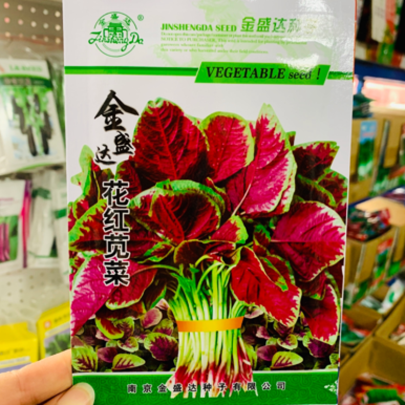 金盛达花红苋菜种子大田用种菜种子批发春秋蔬菜种子圆叶