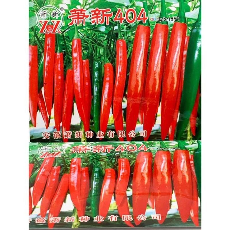 萧新404美人椒辣椒种子早熟大果辣味浓果长16厘米原袋