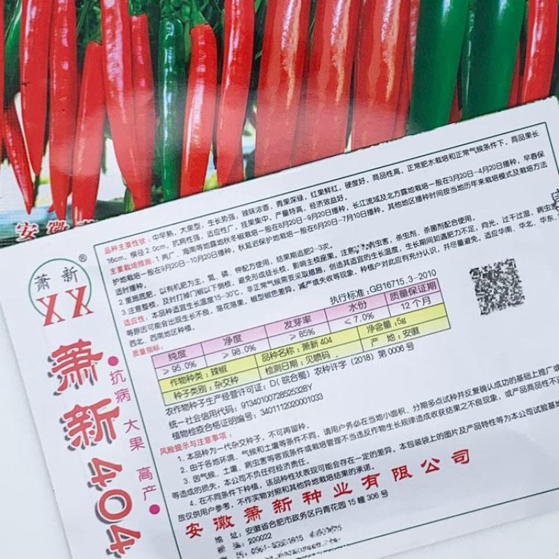 萧新404美人椒辣椒种子早熟大果辣味浓果长16厘米原袋