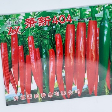 萧新404美人椒辣椒种子早熟大果辣味浓果长16厘米原袋