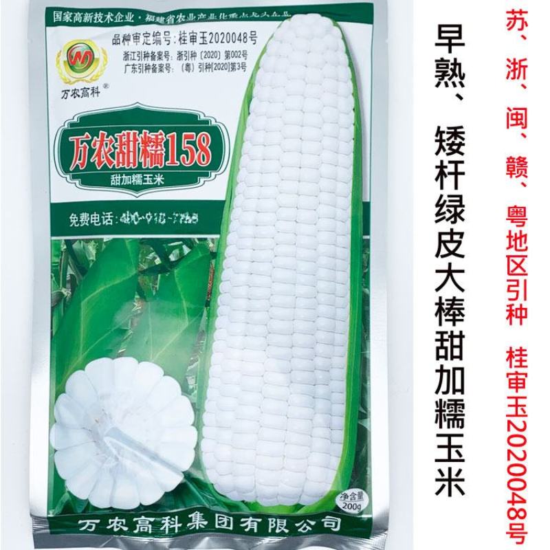万农甜糯158白甜糯玉米种子矮杆大棒甜加糯白玉米种子原装