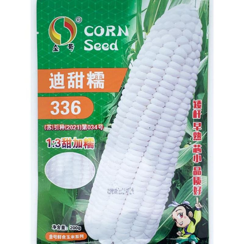 迪甜糯336白玉米种子早熟矮杆大棒甜加糯白玉米种子原装