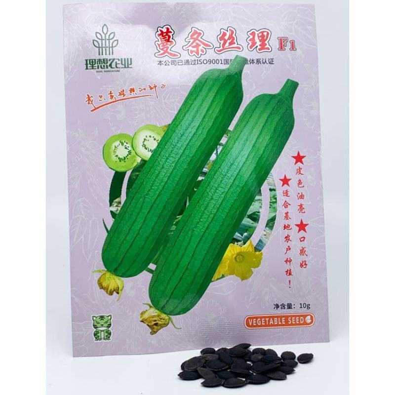理想短棒油皮丝瓜种子油亮短丝瓜水瓜种子原装10克