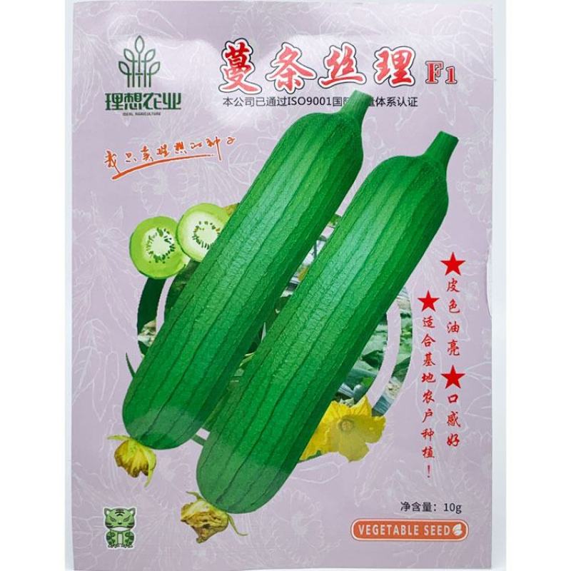 理想短棒油皮丝瓜种子油亮短丝瓜水瓜种子原装10克