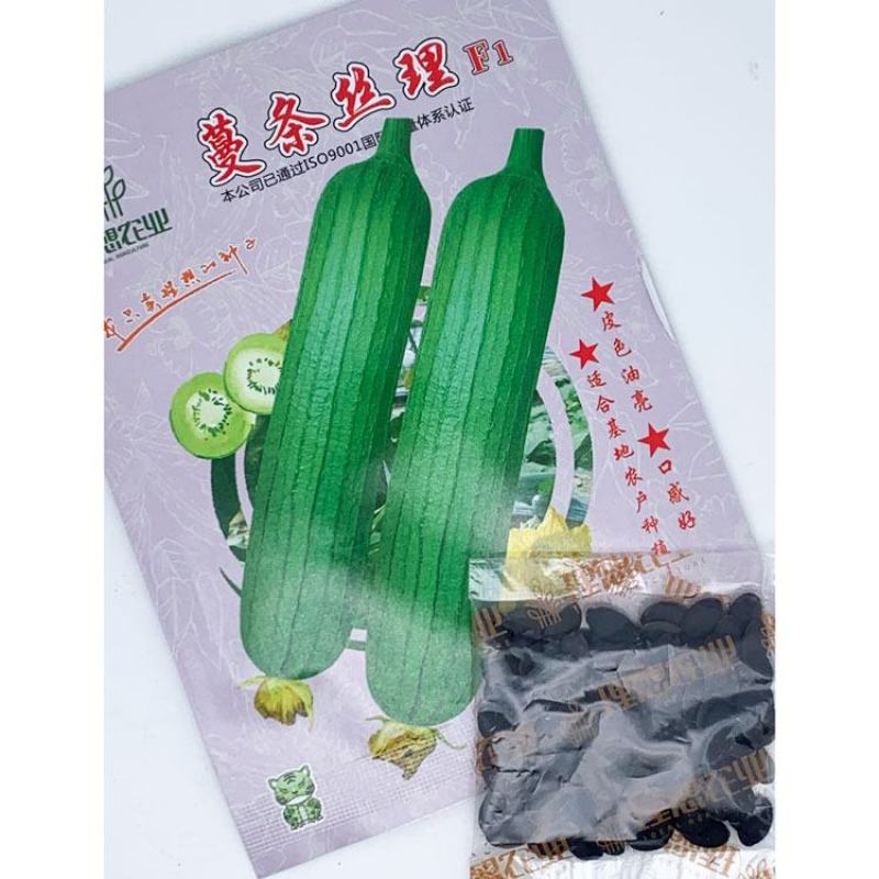 理想短棒油皮丝瓜种子油亮短丝瓜水瓜种子原装10克