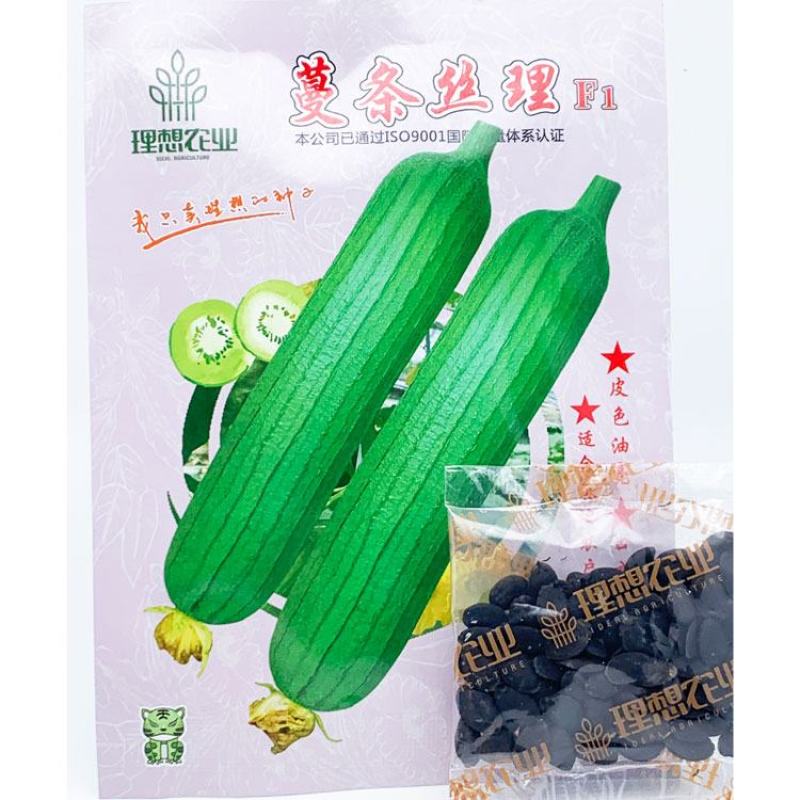 理想短棒油皮丝瓜种子油亮短丝瓜水瓜种子原装10克