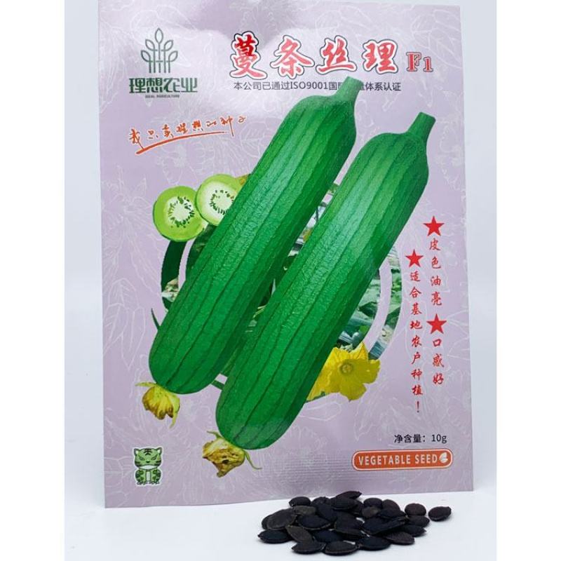 理想短棒油皮丝瓜种子油亮短丝瓜水瓜种子原装10克