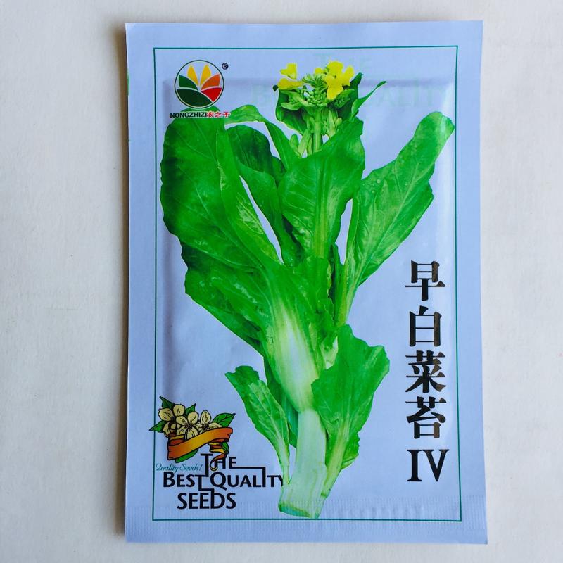 白菜苔种子早熟耐热抗病红菜苔种子产量高菜心种子纤维少