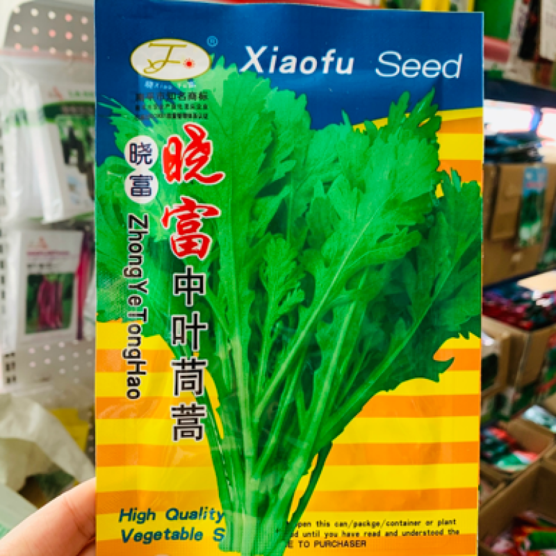 晓富中叶茼蒿种子耐热耐寒南方四季蔬菜种子皇帝菜蓬蒿菜种子