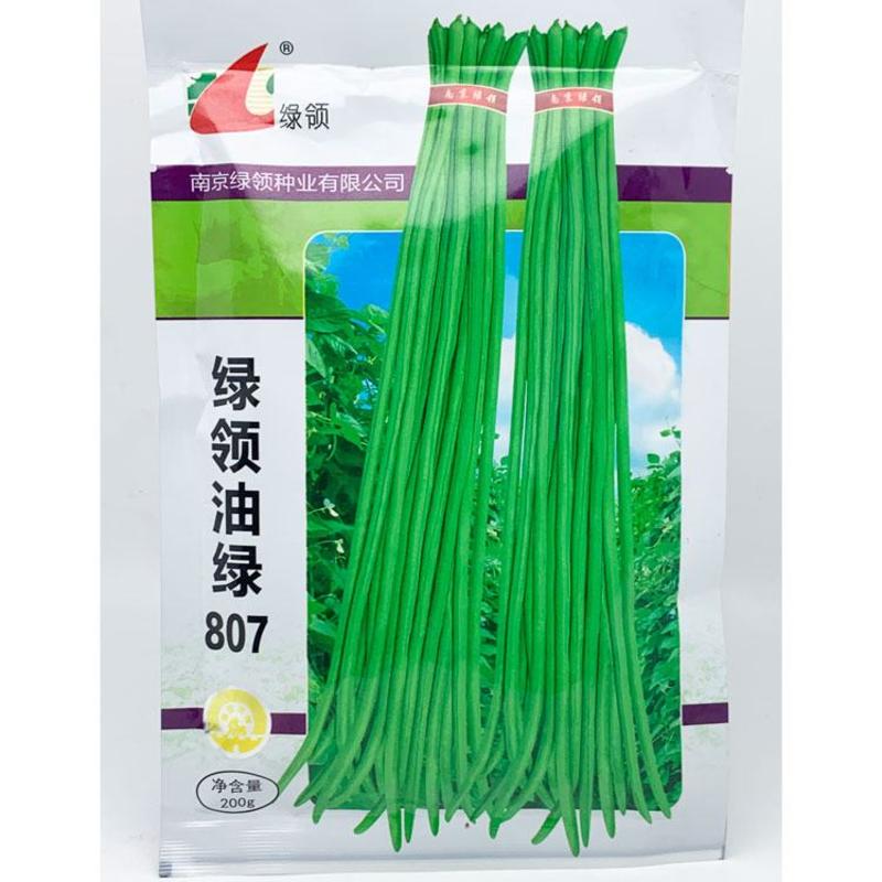 绿领油绿807豇豆种子高产耐热翠绿厚肉长豆角种原装发货