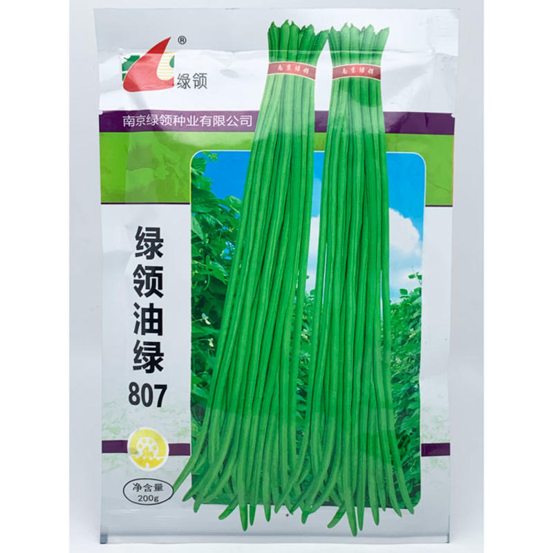 绿领油绿807豇豆种子高产耐热翠绿厚肉长豆角种原装发货
