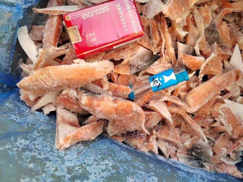 马哈鱼三文鱼边角料宠物食品原料，十公斤一箱