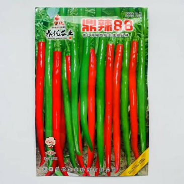 线椒种子早熟品种果面光滑条形顺直采收期长抗病强口感香辣