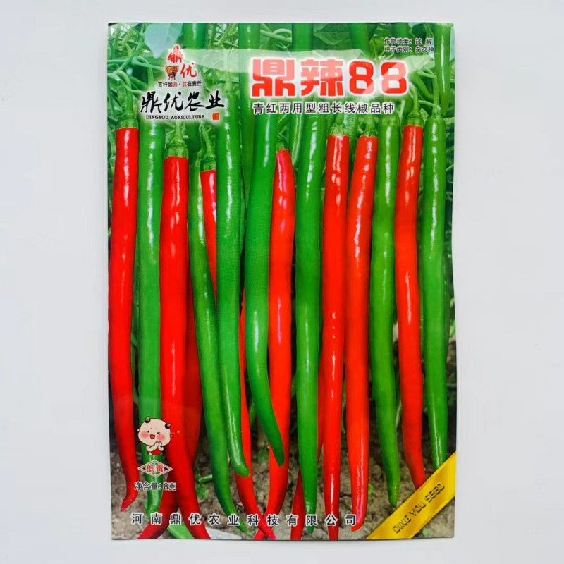 线椒种子早熟品种果面光滑条形顺直采收期长抗病强口感香辣