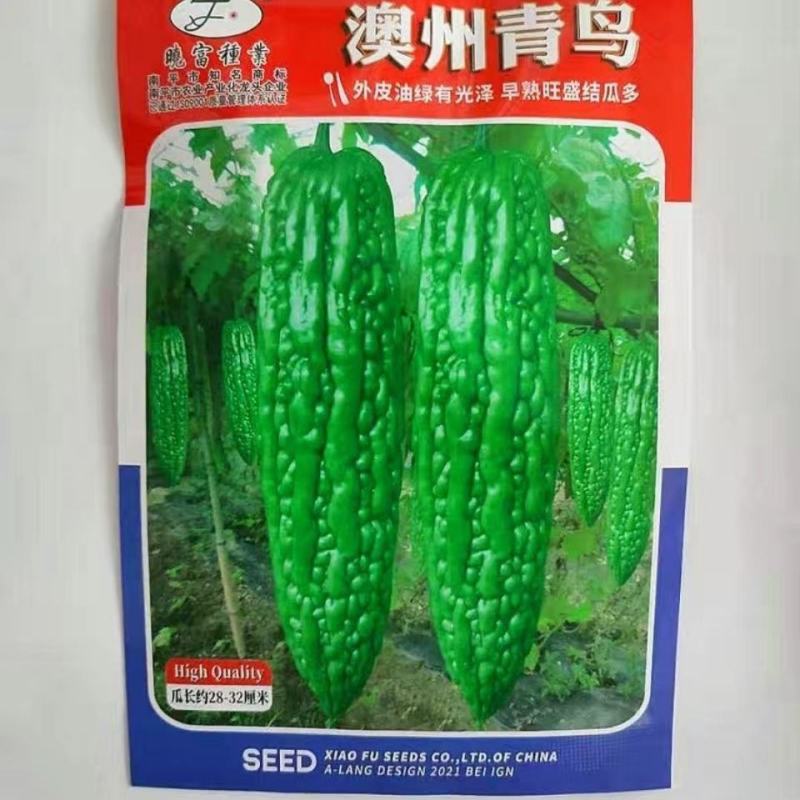 晓富澳州青鸟苦瓜种子早熟油绿多果高产大田春秋播种高端苦瓜