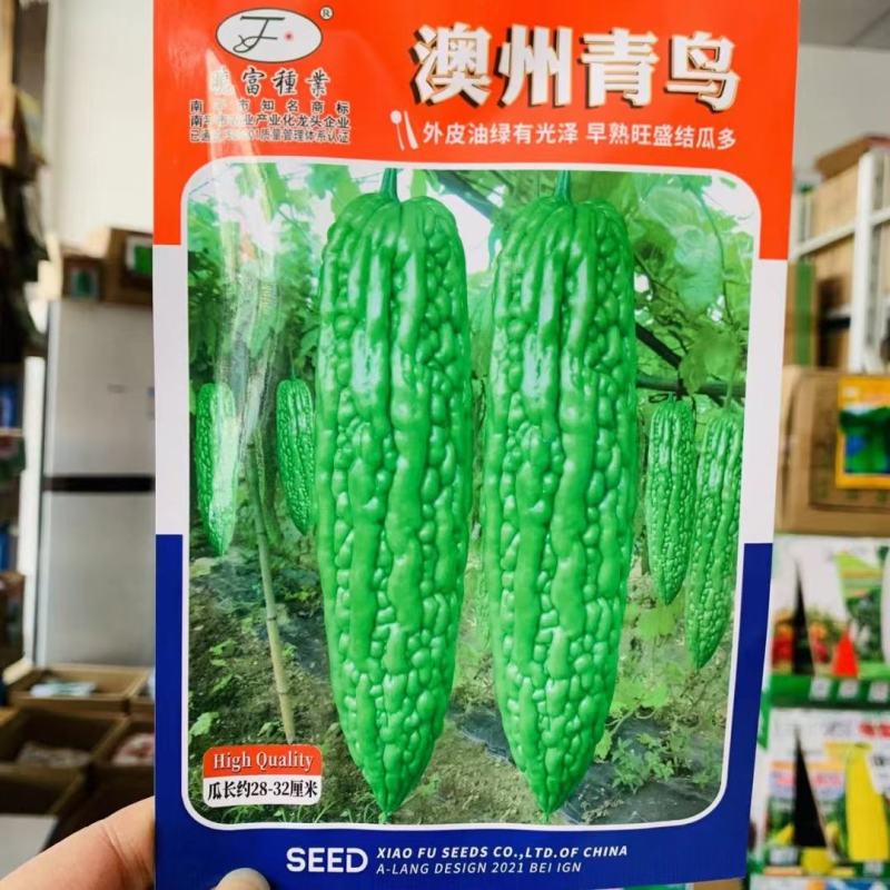晓富澳州青鸟苦瓜种子早熟油绿多果高产大田春秋播种高端苦瓜