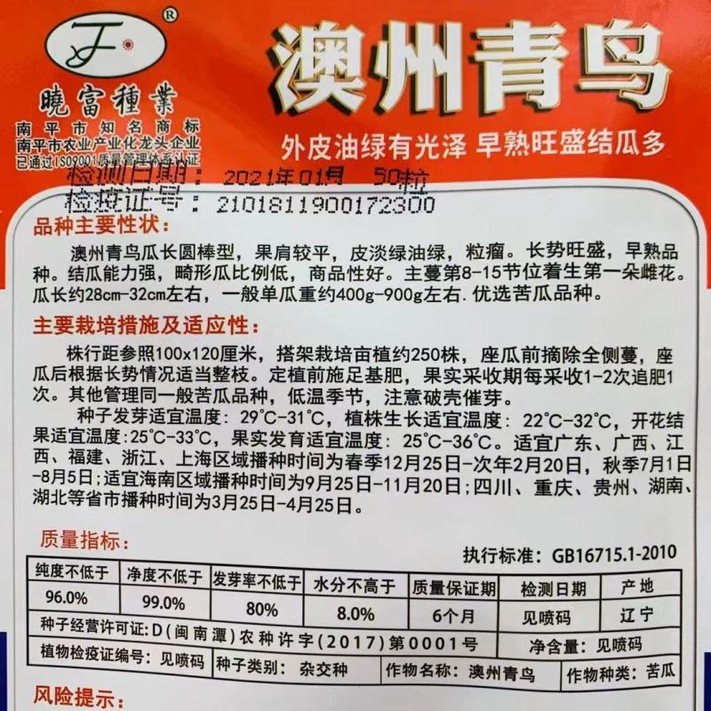 晓富澳州青鸟苦瓜种子早熟油绿多果高产大田春秋播种高端苦瓜