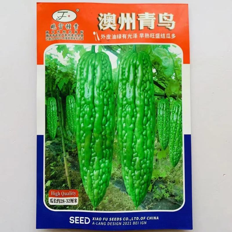 晓富澳州青鸟苦瓜种子早熟油绿多果高产大田春秋播种高端苦瓜