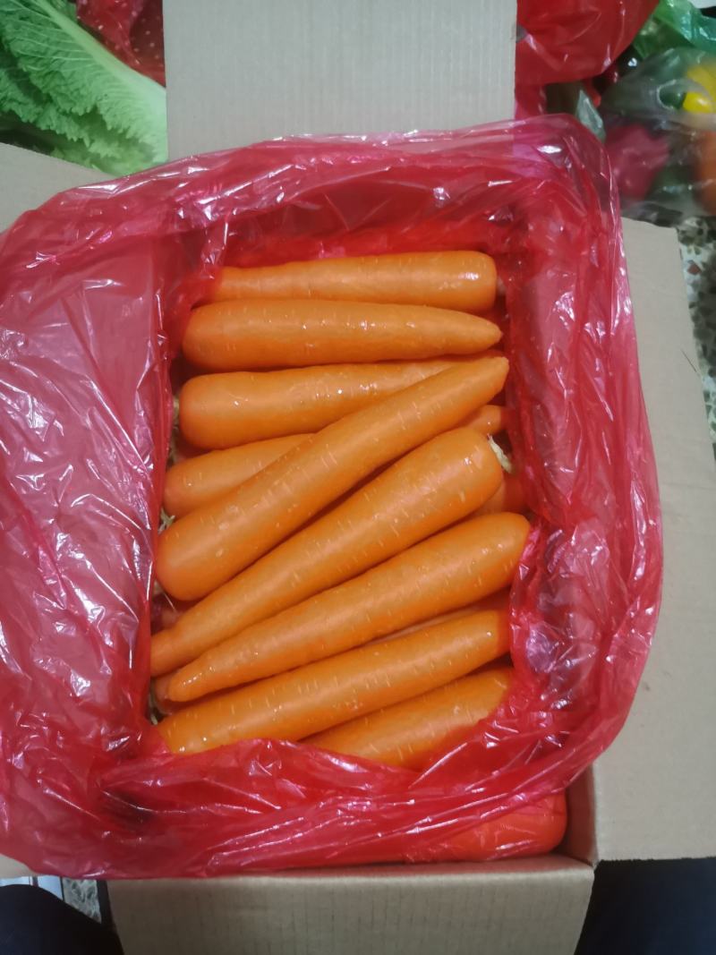 精品胡萝卜1-3两3-6两商超，市场都有。