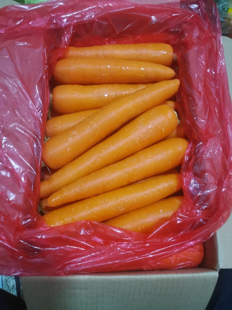 精品胡萝卜1-3两3-6两商超，市场都有。