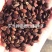 山梨种子野山梨种子梨籽梨树种子梨