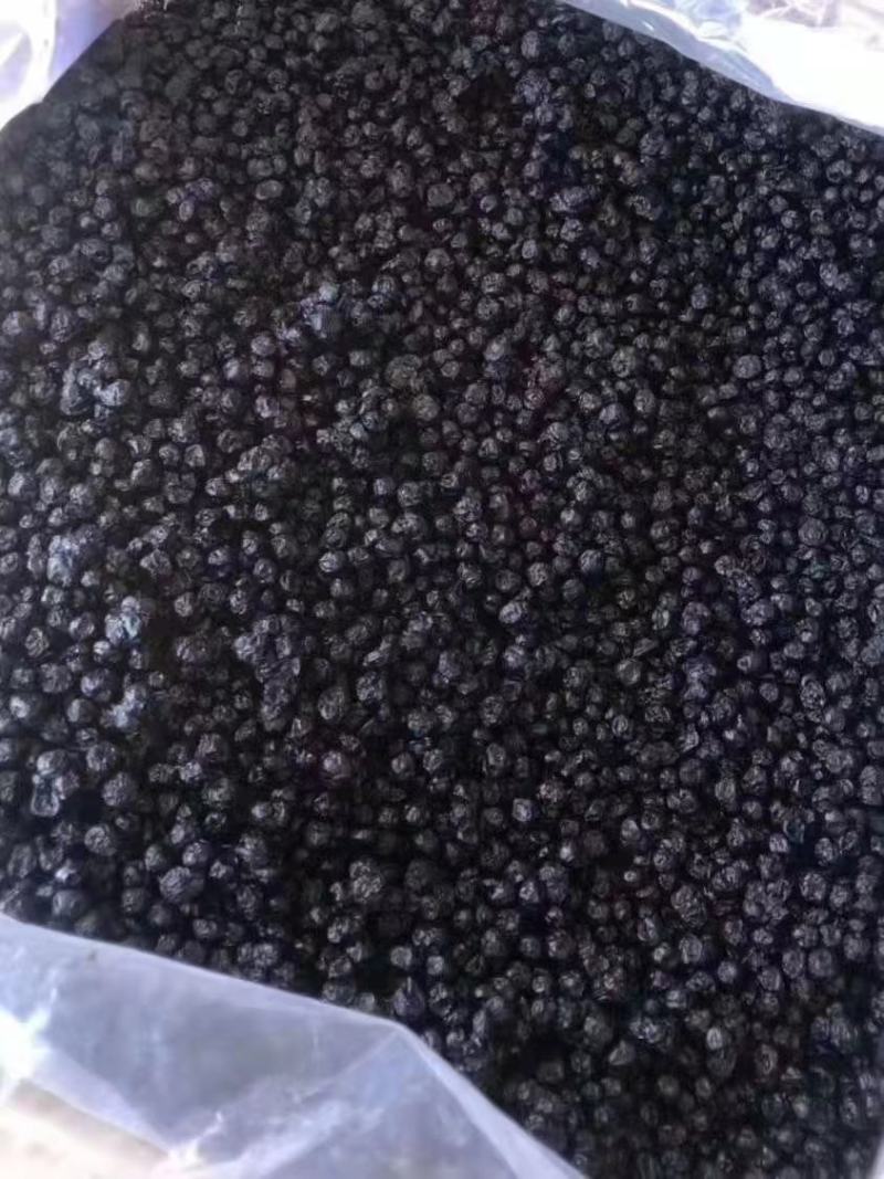 特别推荐：东北蓝莓干，独立小包装，一袋一斤，大量批发
