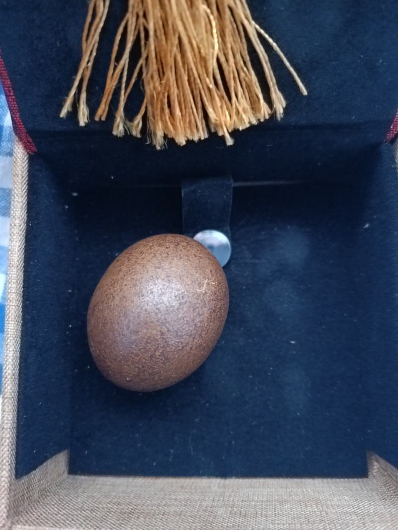 羊结石，鉴定过，有证书真品