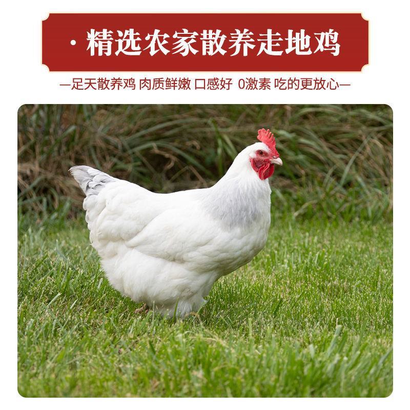 商家用鸡爪4斤装精选鸡爪新鲜冷冻大鸡爪有骨清真白鸡爪鲜冰