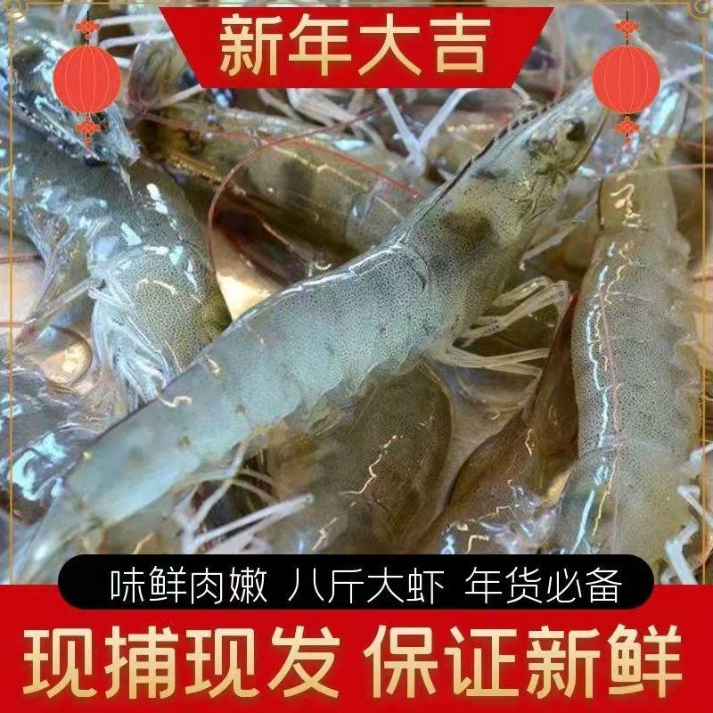 【8斤大虾】已做核酸，青岛海捕大虾基围虾顺丰冷链包邮