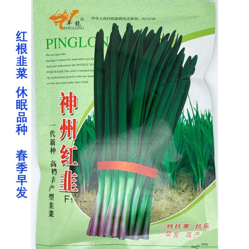 平龙神州红韭红根韭菜种子高产耐寒休眠河南宽叶韭菜种子原装