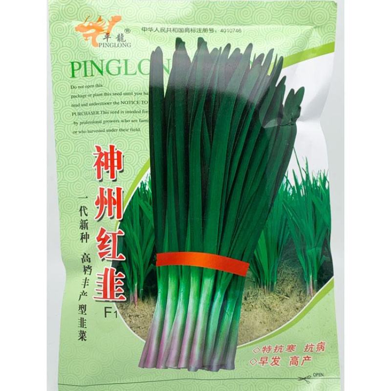 平龙神州红韭红根韭菜种子高产耐寒休眠河南宽叶韭菜种子原装