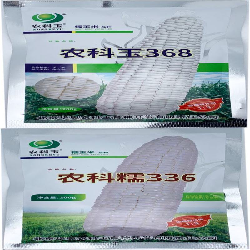 农科玉368白甜糯玉米种子大棒甜加糯农科糯336白玉米种