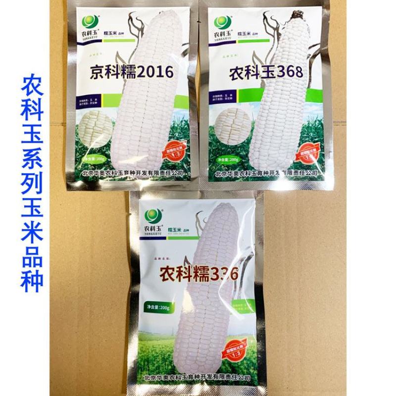 农科玉368白甜糯玉米种子大棒甜加糯农科糯336白玉米种