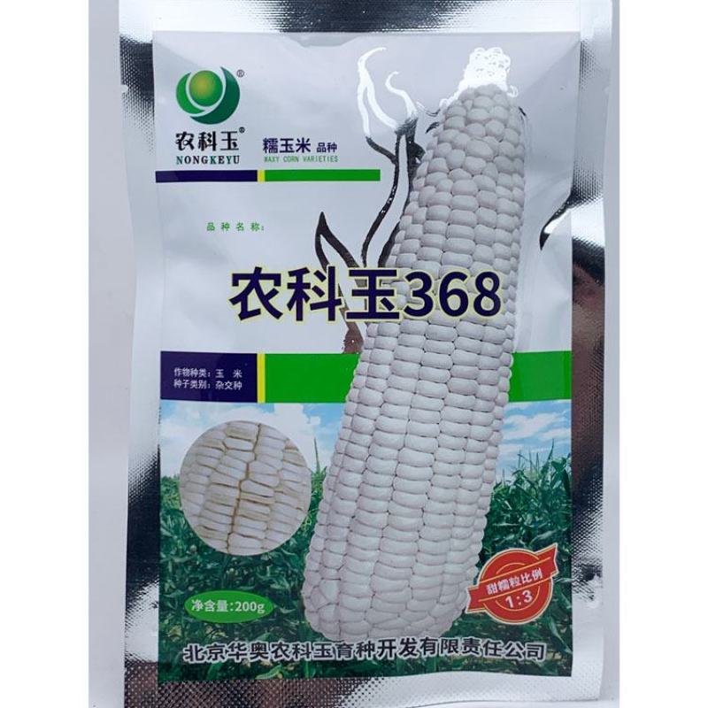 农科玉368白甜糯玉米种子大棒甜加糯农科糯336白玉米种