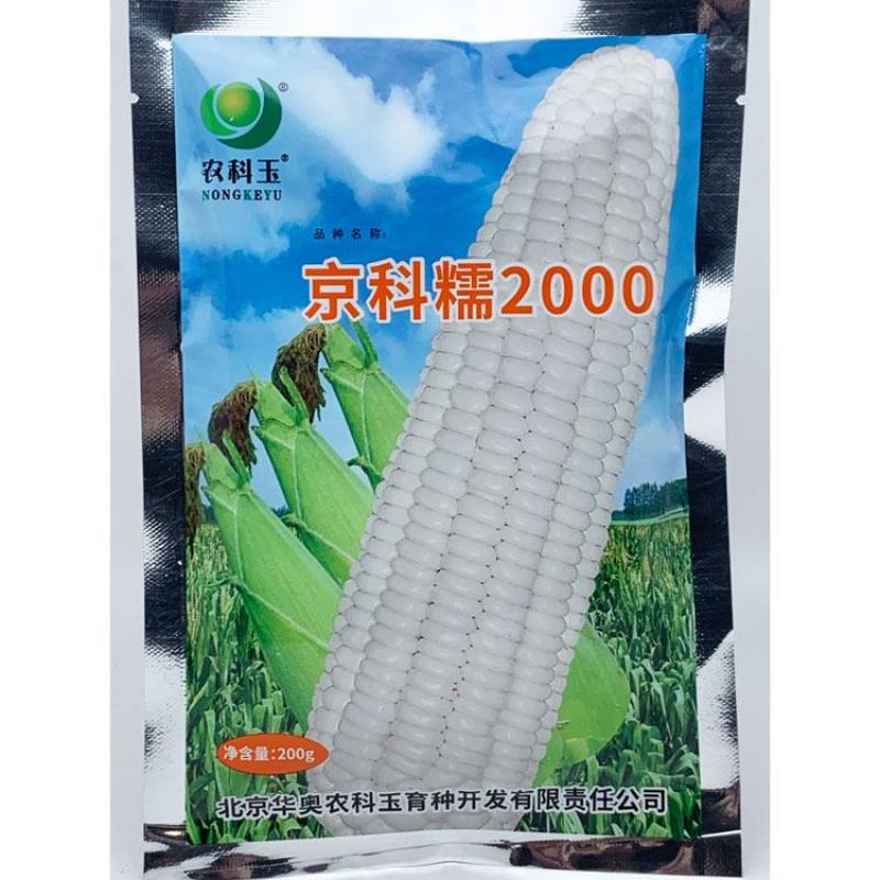 农科玉368白甜糯玉米种子大棒甜加糯农科糯336白玉米种