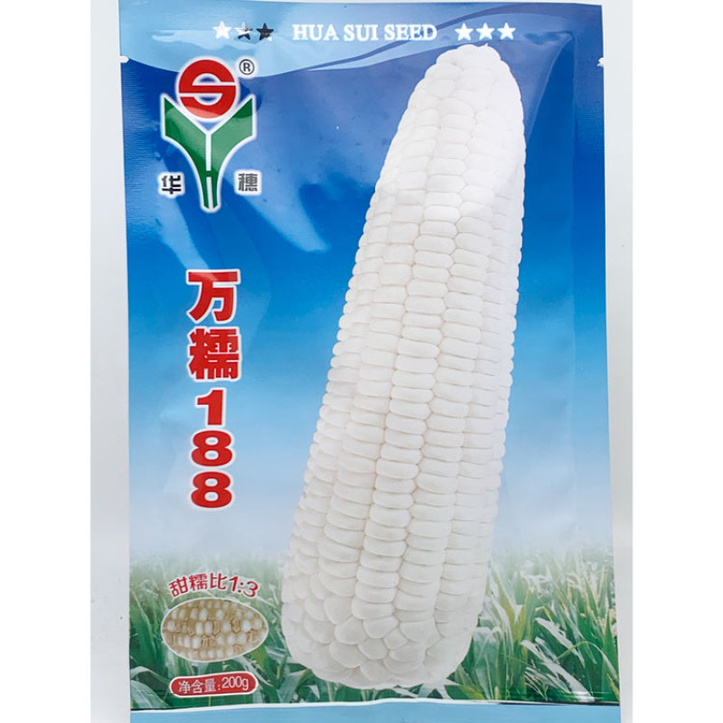 华穗万糯2000白甜糯玉米种子万糯188甜加糯白玉米种子