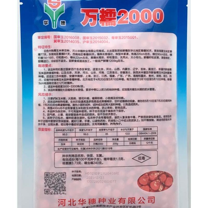 华穗万糯2000白甜糯玉米种子万糯188甜加糯白玉米种子