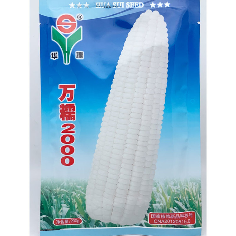华穗万糯2000白甜糯玉米种子万糯188甜加糯白玉米种子