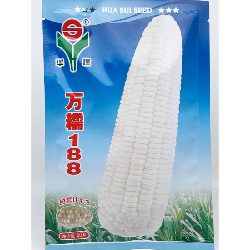 华穗万糯2000白甜糯玉米种子万糯188甜加糯白玉米种子