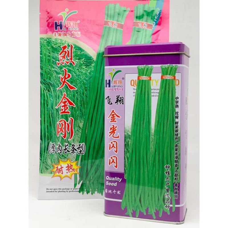 烈火金刚豇豆种子高产耐热厚肉长豆角种金光闪闪翠绿豆角种