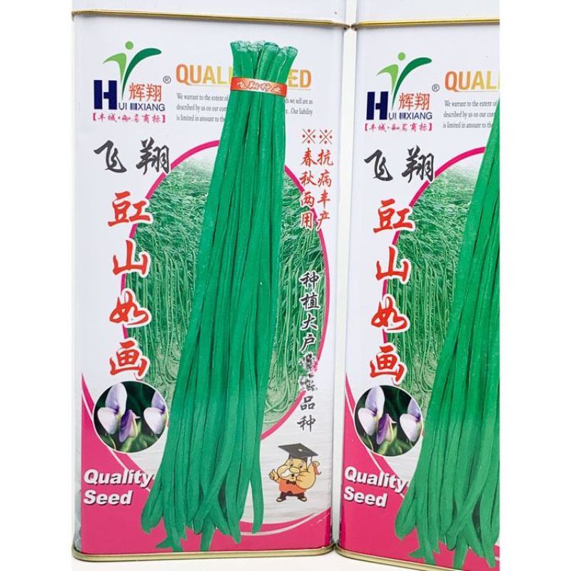 烈火金刚豇豆种子高产耐热厚肉长豆角种金光闪闪翠绿豆角种