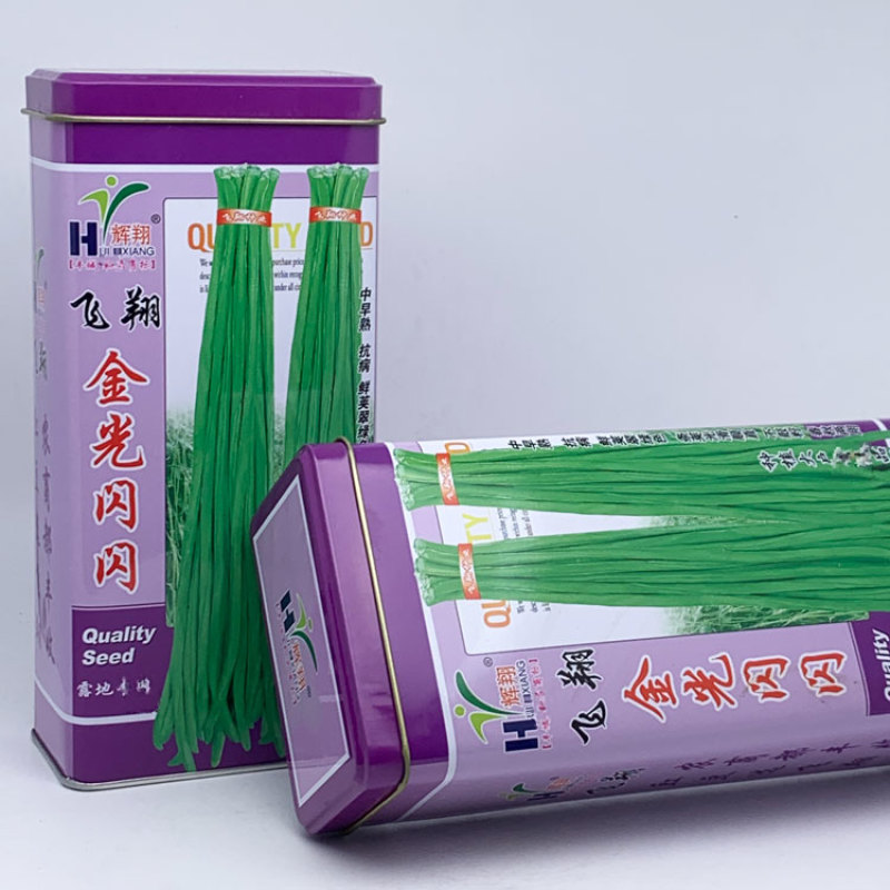 烈火金刚豇豆种子高产耐热厚肉长豆角种金光闪闪翠绿豆角种